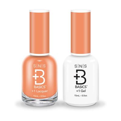 SNS Basics GEL & LACQUER