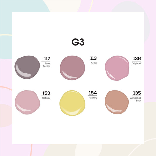 Lavis Gel Color Set G3 (6 colors) : 117, 113, 136, 153, 184, 135
