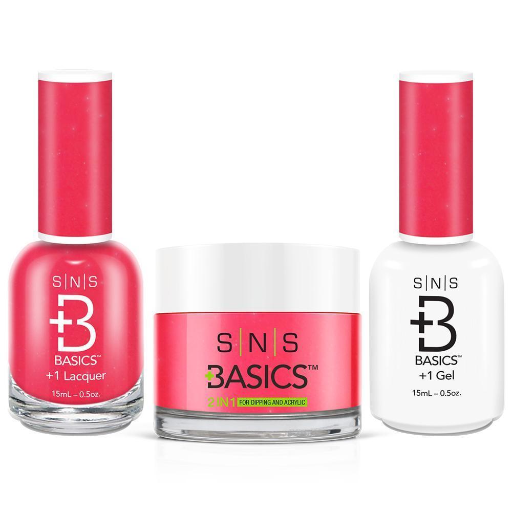 SNS Basics 3 in 1 - Basics 004