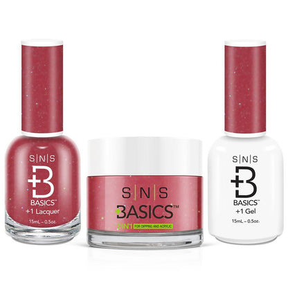 SNS Basics 3 in 1 - Basics 010