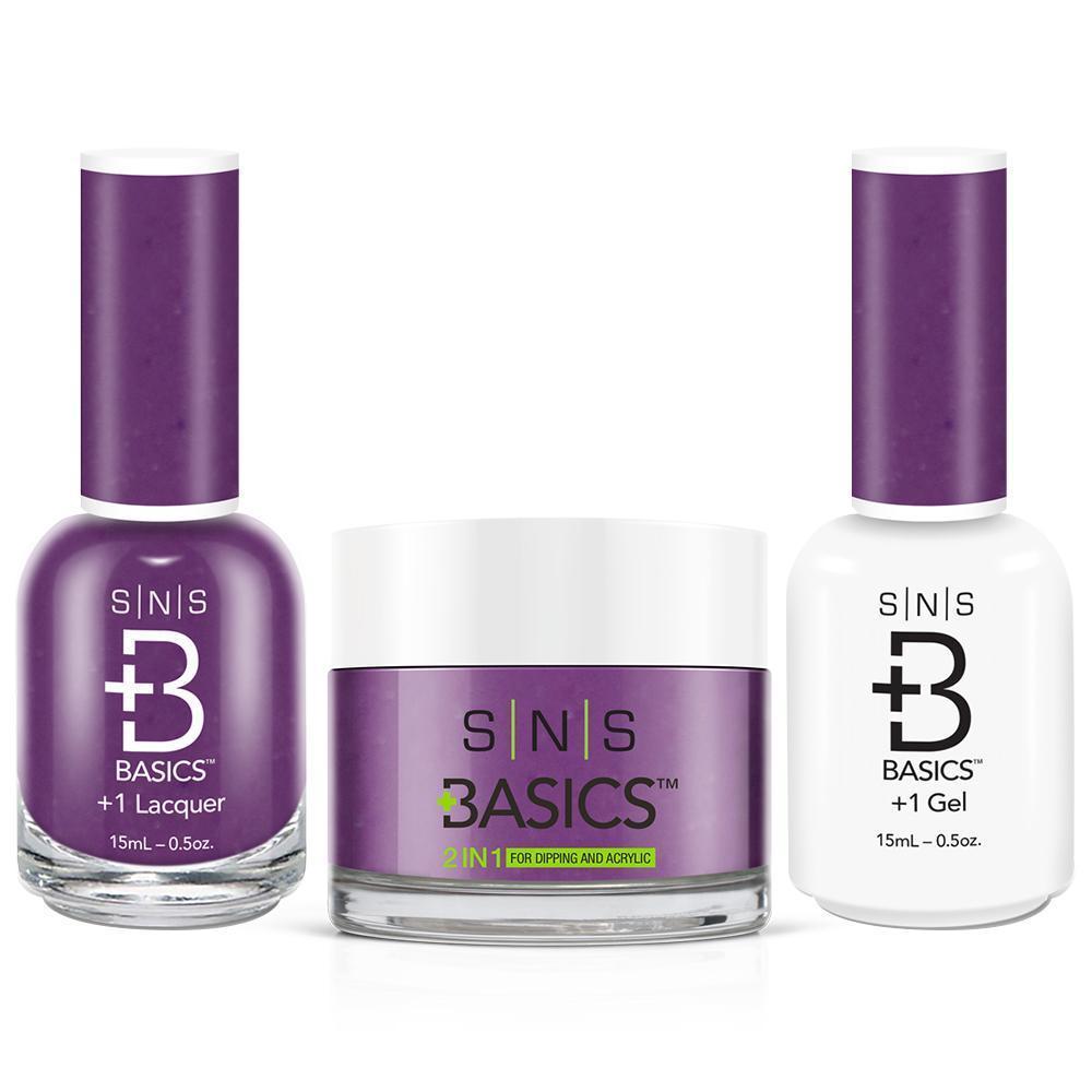 SNS Basics 3 in 1 - Basics 102