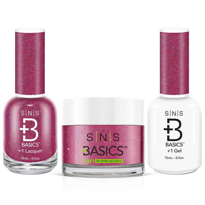 SNS Basics 3 in 1 - Basics 105