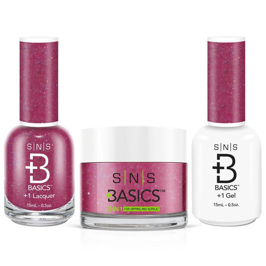 SNS Basics 3 in 1 - Basics 105