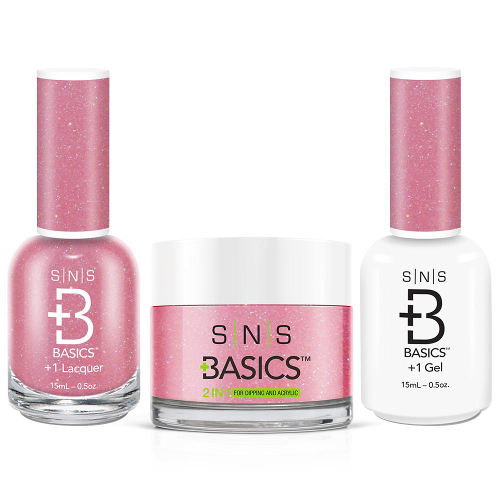 SNS Basics 3 in 1 - Basics 107