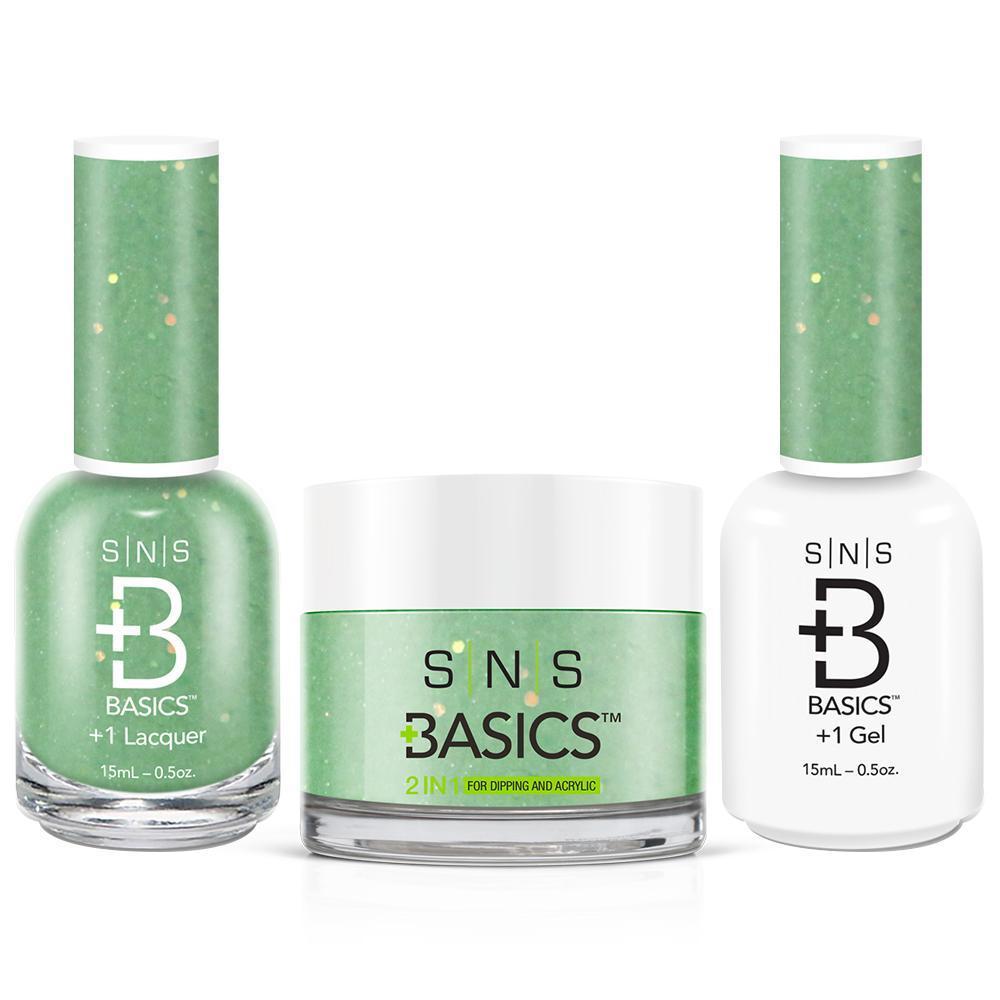 SNS Basics 3 in 1 - Basics 111