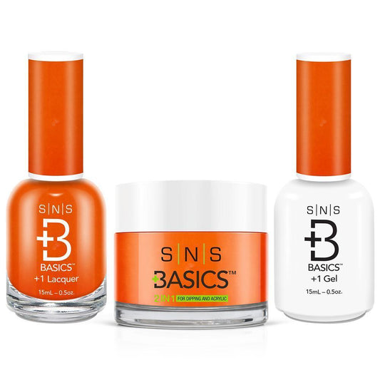 SNS Basics 3 in 1 - Basics 132