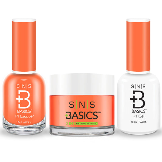 SNS Basics 3 in 1 - Basics 151