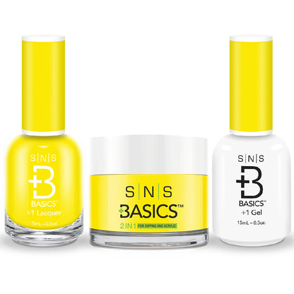 SNS Basics 3 in 1 - Basics 161