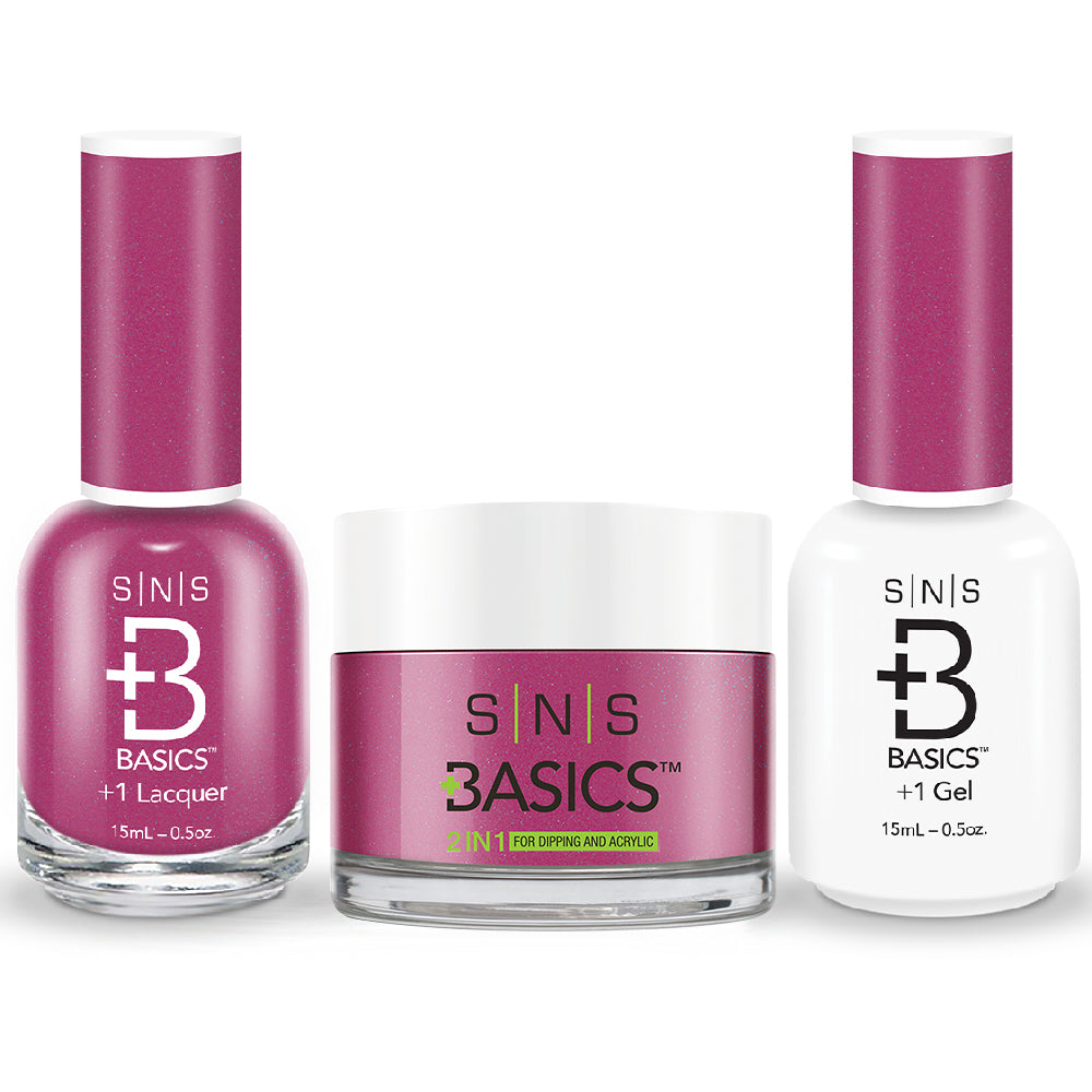 SNS Basics 3 in 1 - Basics 172