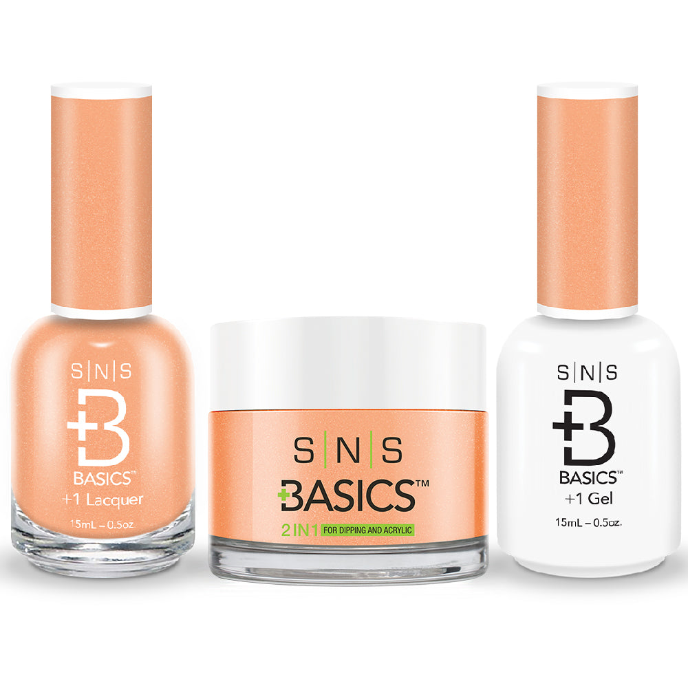 SNS Basics 3 in 1 - Basics 173