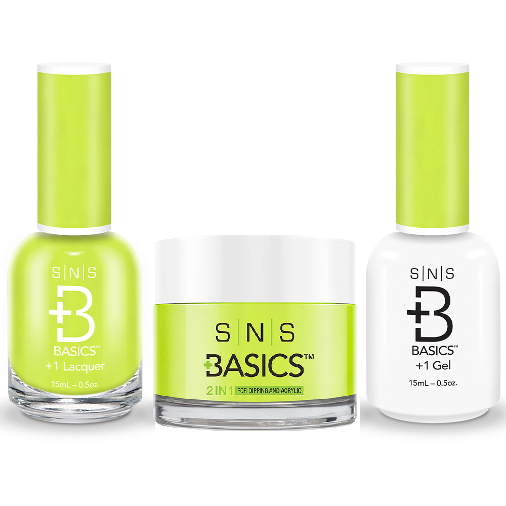 SNS Basics 3 in 1 - Basics 179