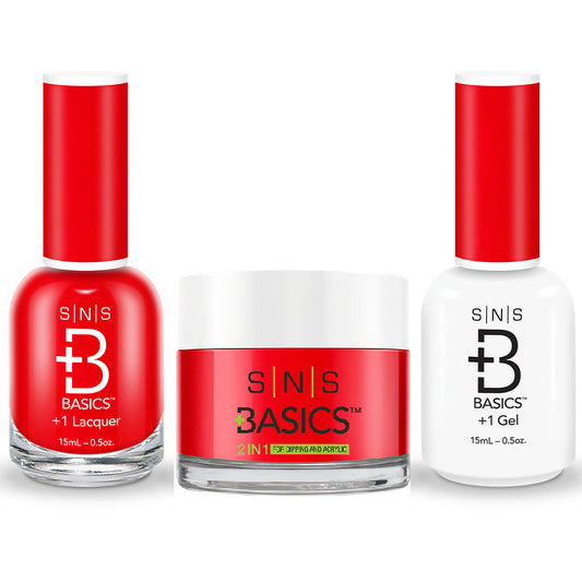 SNS Basics 3 in 1 - Basics 181