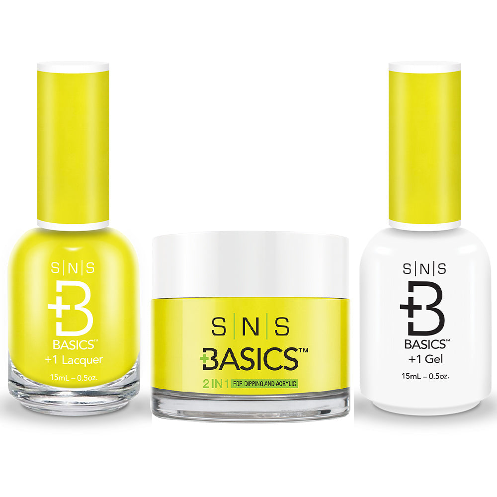 SNS Basics 3 in 1 - Basics 195