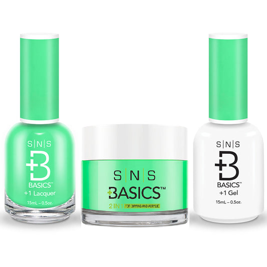 SNS Basics 3 in 1 - Basics 196