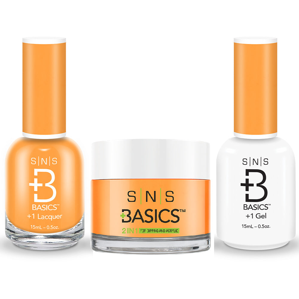 SNS Basics 3 in 1 - Basics 197