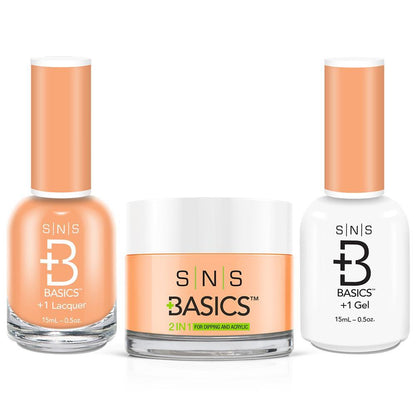 SNS Basics 3 in 1 - Basics 022