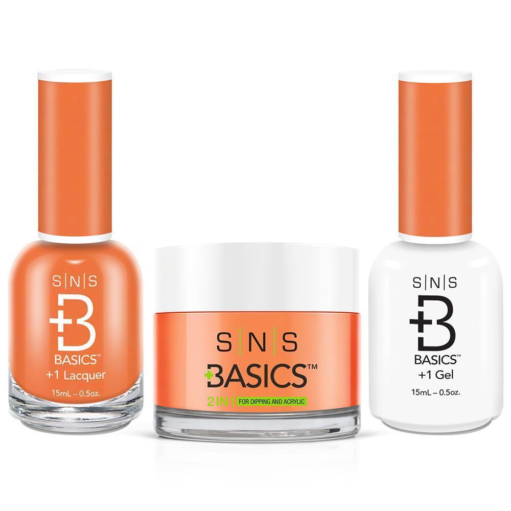 SNS Basics 3 in 1 - Basics 060