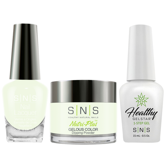 SNS 3 in 1 - BOS 24 - Dip (1oz), Gel & Lacquer Matching