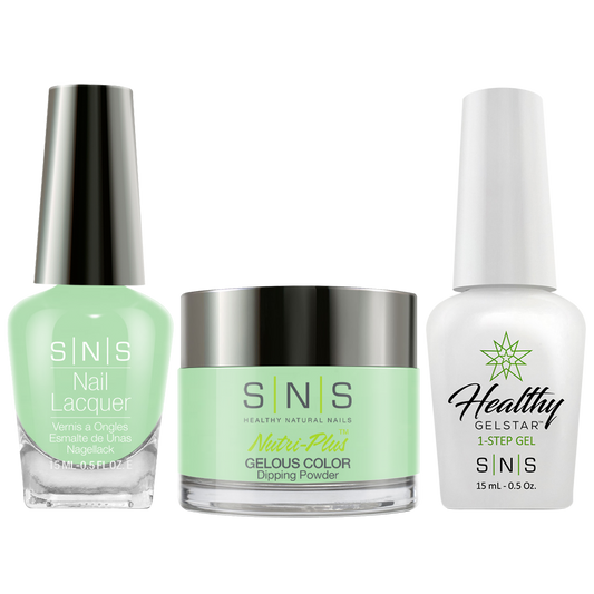 SNS 3 in 1 - BP3 - Dip (1oz), Gel & Lacquer Matching