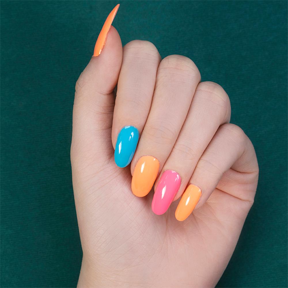 DND Holiday Gift Bundle 2: 655, 570, 576, BT Video