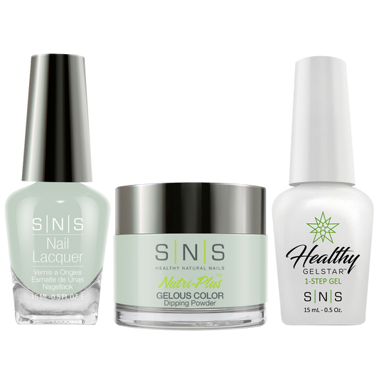 SNS 3 in 1 - DW04 - Dip (1.5oz), Gel & Lacquer Matching